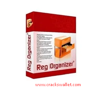 reg organizer crack